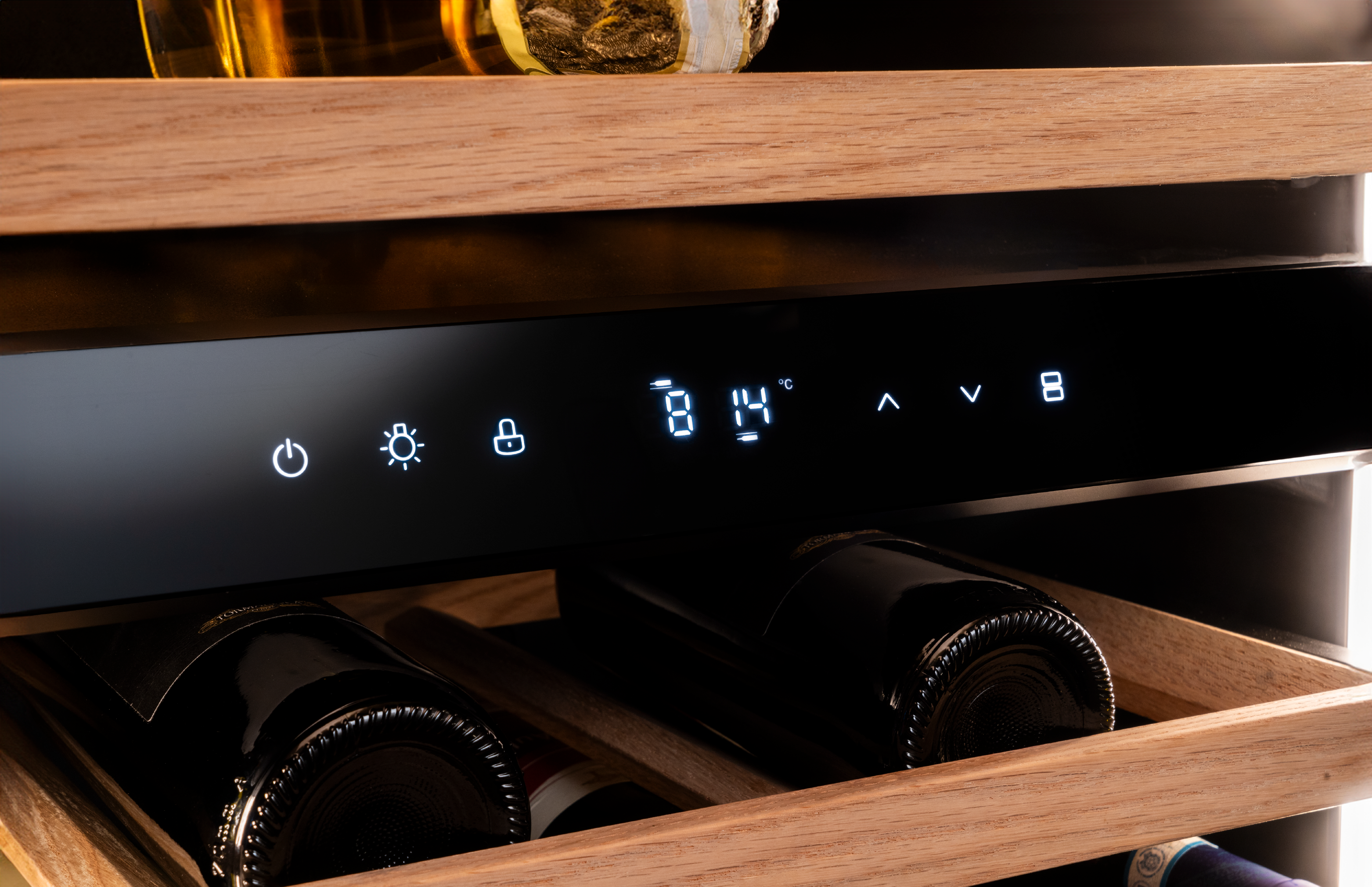 Dual temperature storage